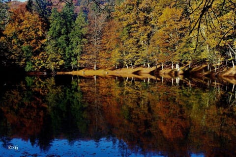 Natural landscape, Hiking