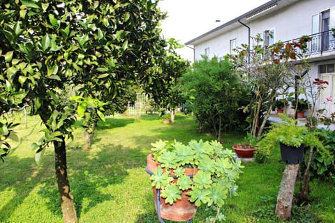 Property building, Garden