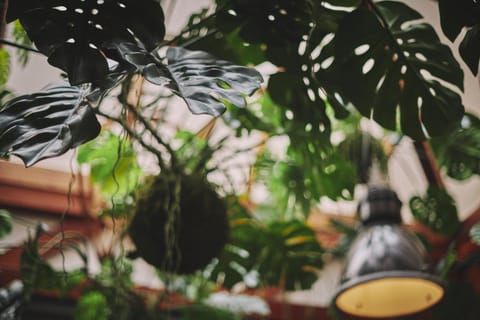 Communal lounge/ TV room, Lounge or bar, Decorative detail