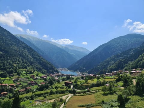 Nearby landmark, Spring, Day, Natural landscape, Lake view, Mountain view