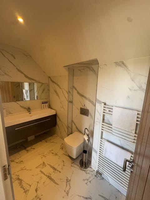 Shower, Toilet, Bathroom, towels