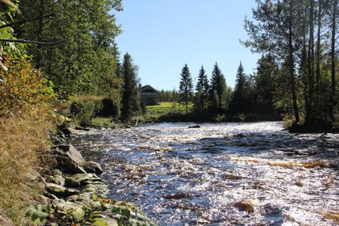 Natural landscape, Beach, River view