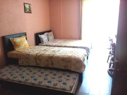 Studio Manushev Apartment in Blagoevgrad Province