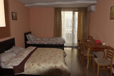 Studio Manushev Apartment in Blagoevgrad Province