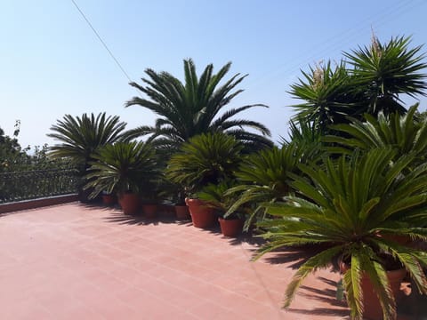 Balcony/Terrace, Decorative detail