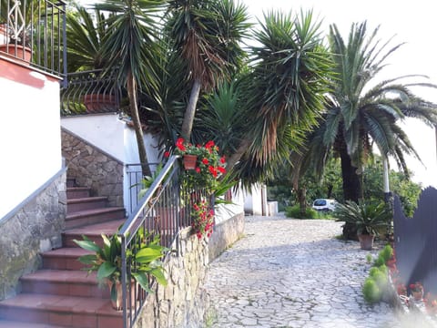 Property building, Facade/entrance, Garden, Balcony/Terrace, Decorative detail, Floor plan