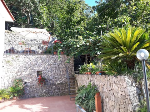 Property building, Balcony/Terrace