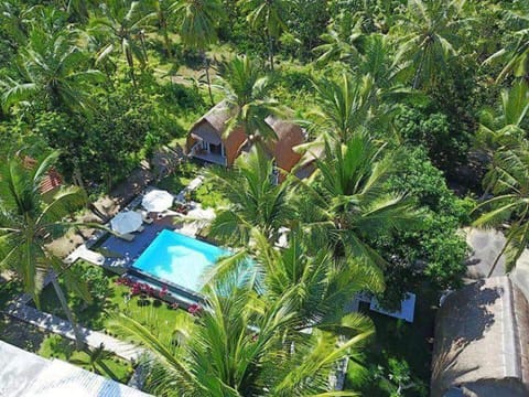 Bird's eye view, Garden, Swimming pool