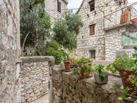 Property building, Patio, Facade/entrance, Garden