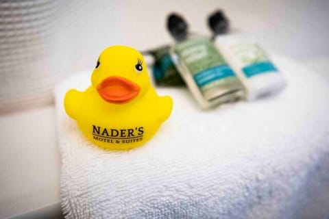 Nader's Motel & Suites Hotel in Ludington