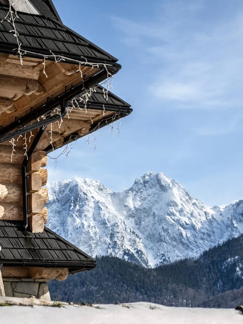 Winter, View (from property/room), Mountain view