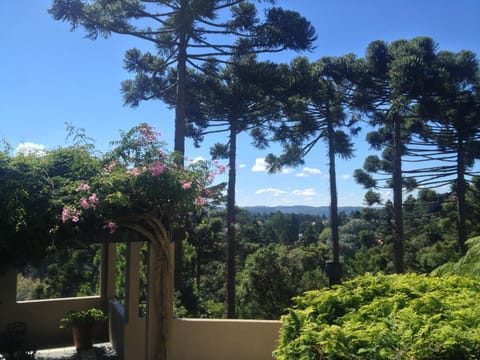 Solarium, Balcony/Terrace, Garden view