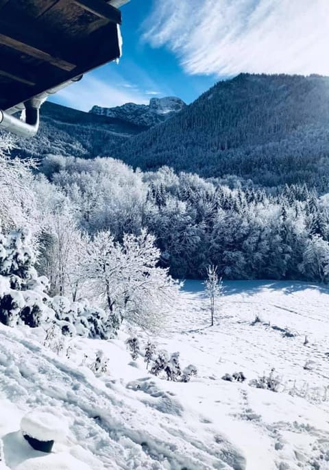 Chalet Eterlou Apartment in Haute-Savoie