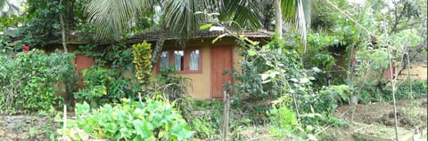 Property building, Facade/entrance, Bird's eye view, Garden view