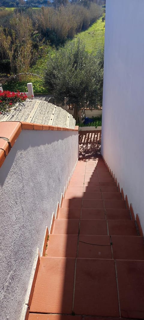 Casa Vacanze Bouganville Apartment in Calasetta