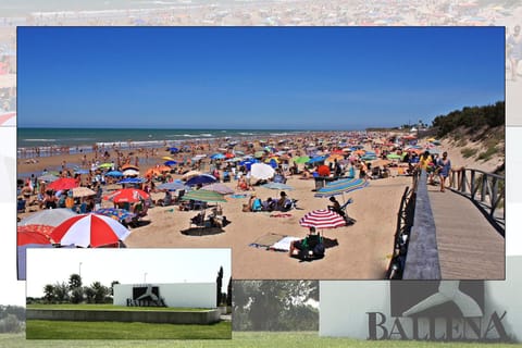 Off site, Fishing, Golfcourse, Table tennis, Beach, Aqua park, Tennis court, Windsurfing, Hiking, Cycling, Diving, Evening entertainment, Sports
