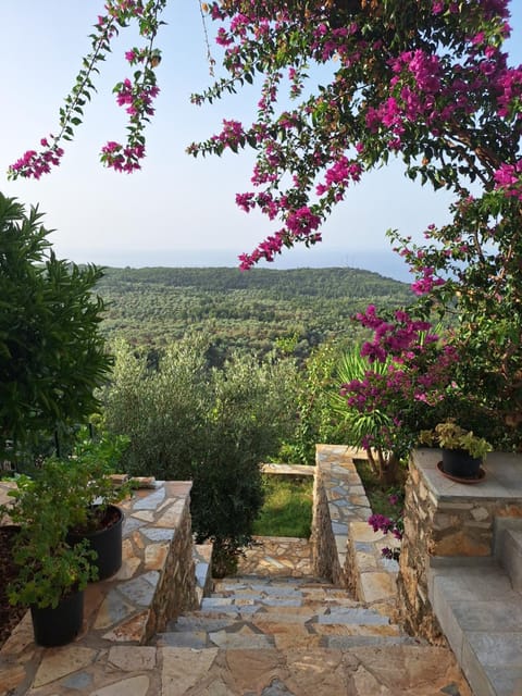 Natural landscape, Garden
