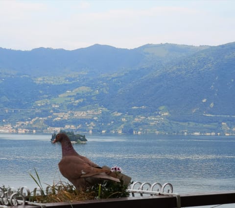 View (from property/room), Balcony/Terrace, City view, Garden view, Lake view, Landmark view, Mountain view