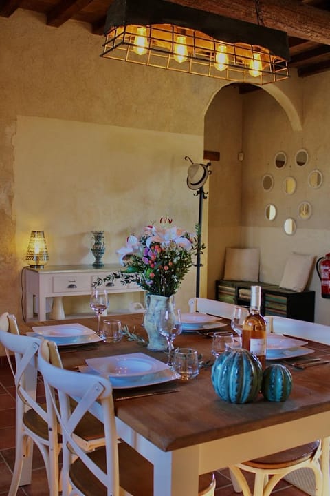 Mas de l'Hermitage House in Arles