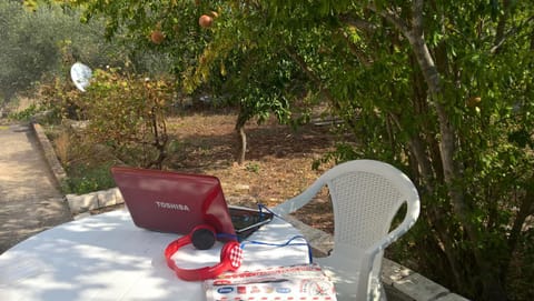 Garden, Balcony/Terrace, Drinks