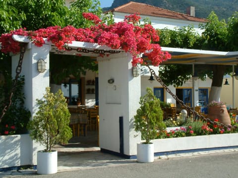 Restaurant/places to eat, Food close-up, Lunch, Dinner, Alcoholic drinks, Non alcoholic drinks