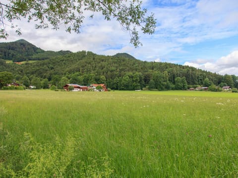 Haus Elisabeth Apartment in Grassau
