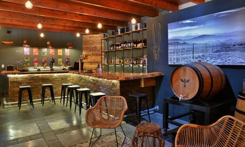 Activities, Lounge or bar, On site, Drinks