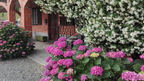 Casa Statiella Apartment in Liguria