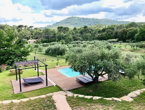 Garden view, Swimming pool, Swimming pool, sunbed