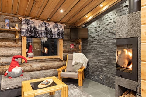 Polar Aurora Cabins Cabin in Lapland