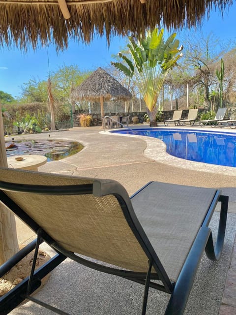 Swimming pool, sunbed