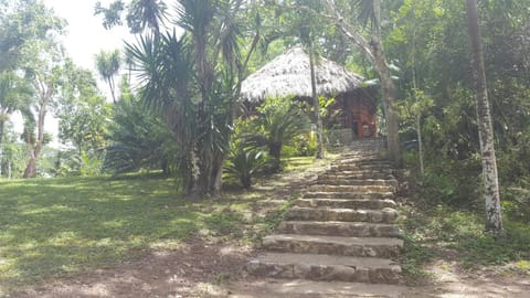 Clarissa Falls Resort Resort in Cayo District