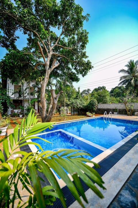 Day, Garden, Swimming pool