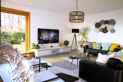 TV and multimedia, Living room