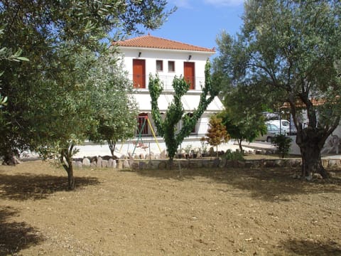 Property building, Garden view