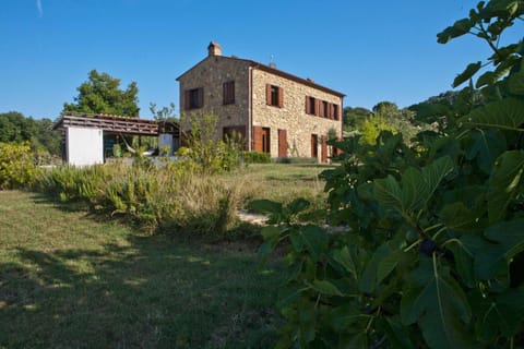 Property building, On site, Area and facilities