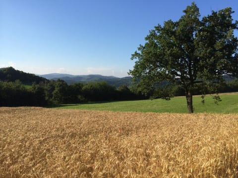 Day, Summer, Hiking, On site