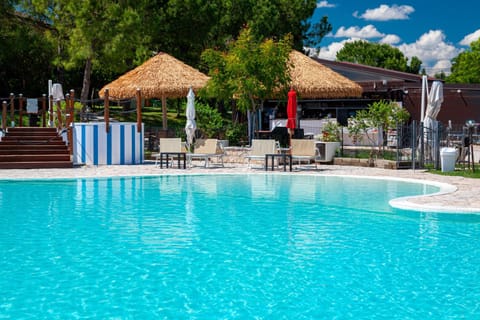 Spring, Day, Garden, Garden view, Pool view, Swimming pool, sunbed