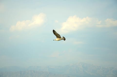 Lozna Residence Apartment in Split-Dalmatia County