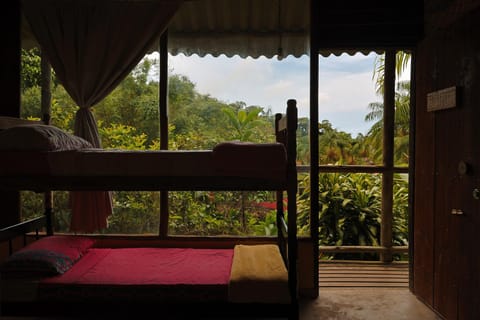 Eco Hostel Organic Life Hostel in State of Rio de Janeiro