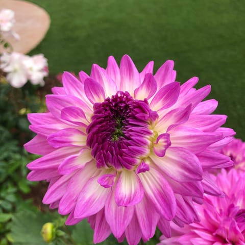 Kate Stanton Inn Bed and Breakfast in Leucadia