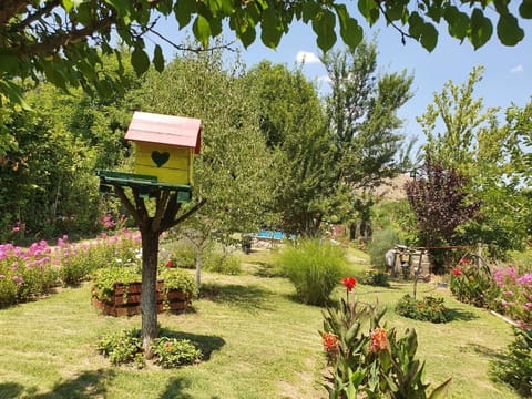 Day, Garden, Garden view