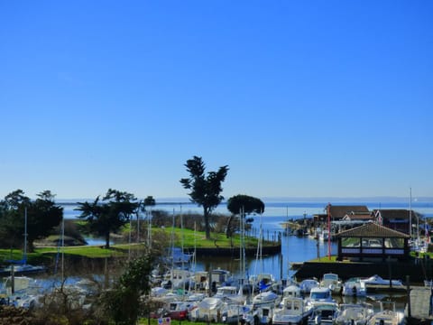 View (from property/room)