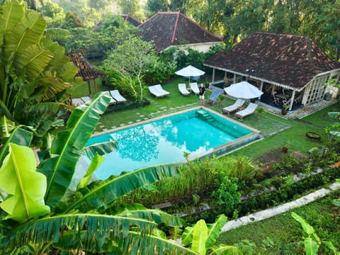 Restaurant/places to eat, Restaurant/places to eat, Swimming pool, sunbed