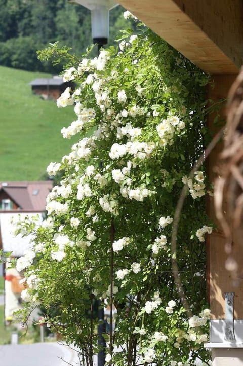 Haus Schönblick Apartment in Brand