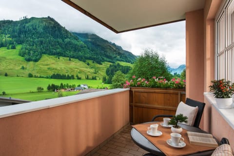 Balcony/Terrace, Garden view, Mountain view