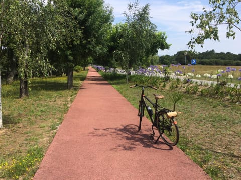 Quinta da Boavista - Moradia E House in Viana do Castelo District, Portugal
