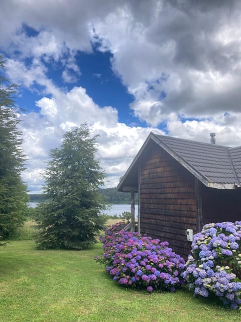 Natural landscape, Garden, Garden view, Lake view