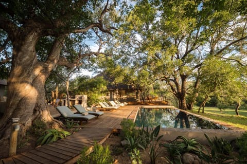 Patio, Balcony/Terrace, Area and facilities, Swimming pool