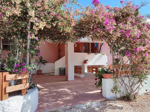 Alghero Guest House, Oasi tra gli Ulivi con Piscina e Fresche Suites in Seminterrato Apartment in Sardinia